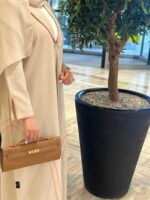 ⁦Saddel  02⁩ - الصورة ⁦2⁩